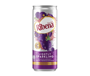 RIBENA Black Currant Fruit Drink/320ml